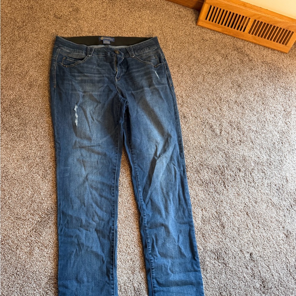 Democracy Indigo Straight Leg Jeans